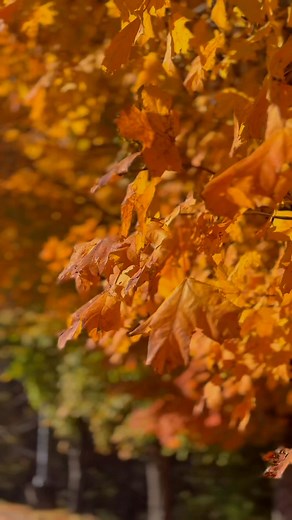 Our fall specials at Java Man Cafe won’t be here for much longer! Enjoy them while they last!!  #wonderscenter #javmancafe #fallspecials #coffee | Wonders Center and Science Museum | Facebook