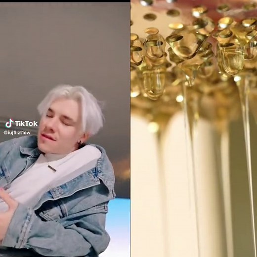 Time Warp Scan Funny Cat Compilation