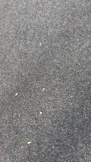 WE ARE OPEN!!! | Gold Coast Wake Park