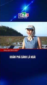 Khám phá Gành Lá Ngái | QNgTV
