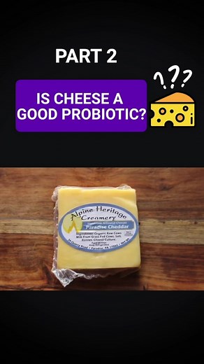 Cheese and Probiotics: Unveiling Gut Health Benefits