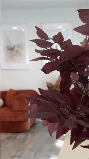 Tiny space? Big comfort!  Our 4-in-1 Convertible Sofa Bed fits your lifestyle — sofa by day, bed by night, comfort anytime.  Ideal for apartments, dorms, or guest rooms.  What color would look best in your home?  Save $100 with code SOFA100 — limited time! | PrimyHome | Facebook