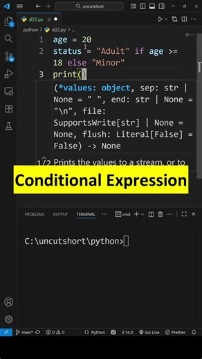 Python Conditional Expression