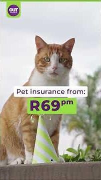 OUTsurance Pet l Stoffel