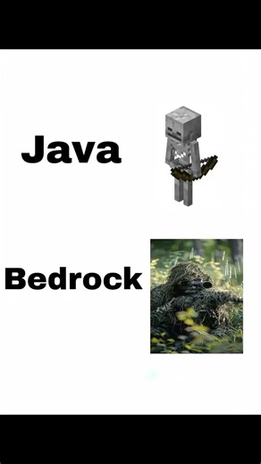 Java mobs: Normal fight 😌Bugrock mobs: Surprise attack from NASA 🚀💀