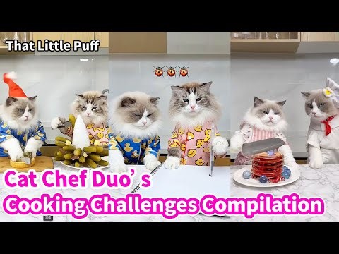🍜🍝Cat Chef Duo’s Cooking Challenges Compilation | That Little Puff