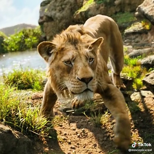 Mufasa: The Lion King - Pertempuran Terakhir Bahasa Indonesia