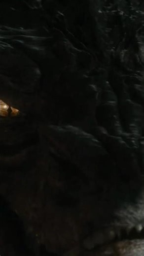 A Scene From The Hobbit The Desolation Of Smaug #movie #reels #peterjackson #benedictcumberbatch