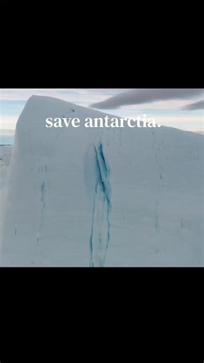 #climatechange #antarctica #savethepolarbears #climate #fyp | polar bears