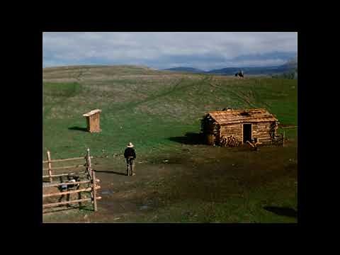 NBC Productions/NBCUniversal Television Distribution (1974/2011)