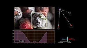 超越对象识别：面向对象概念学习的新基准