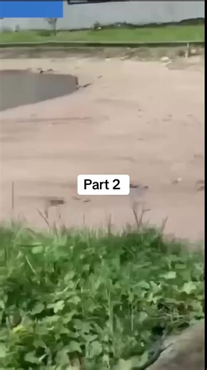 Sydney Talker and Nasty Blaq Skit on Pregnancy Humor