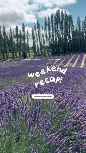 Nadezda Borisevich | Seattle - Bainbridge Island - Sequim, WA - Dungeness Spit trail 💜 #SequimWA #LavenderFields #DungenessSpit #OneDayTrip #PNWAdventures... | Instagram