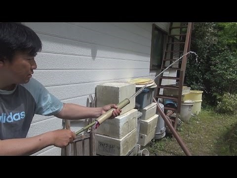 Make a bamboo water gun and play with it!