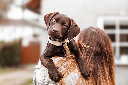 The Most Popular Dog Names of 2025