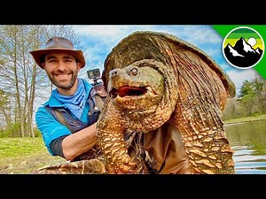 Can I Catch 10 TURTLES in ONE DAY?!