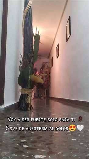 Videos de Sr.Ivan93 (@sr.ivan93) con “original sound - paradise_lyrics”