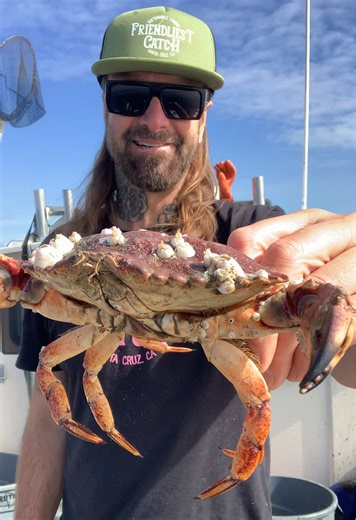 Understanding Barnacles: Nature's Unique Creatures
