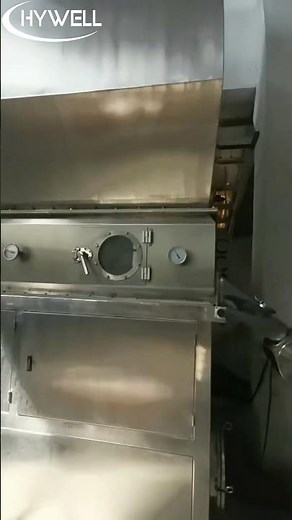 Automatic Instant Herbal Granule Line | Mixing, Granulating & Drying Test