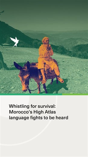 In the steep mountains of Tilouguite, in the Azilal region of Morocco, locals fight to preserve an ancestral language that echoes through the valleys. The whistling, much more than a simple signal, is a true language, passed down from generation to generation by the shepherds of the Amraoui family. | The New Arab