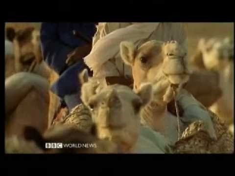 The Lost Libraries of Timbuktu 1 of 5 - BBC Travel Documentary