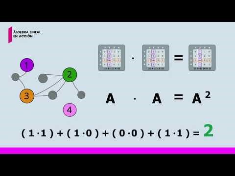 Optimización logística con matrices de adyacencia