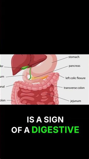 Your Stool Color Is Screaming a Warning #BodySignals #MedicalTruth