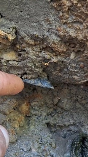 The amount of time you invest into finding Arrowheads will make all the difference. And the more you become familiar with a particular location, the chances of finding Arrowheads increases. #ARROWHEAD #arrowheads #arrowheadhunting #rockhound #nativeamericanartifacts #stonetools #ptown #ilikerocks #artifacts | Ptown Rockhound