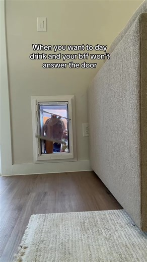 What tha prolem is? 🤣🤣 #daydrinking | day drinking