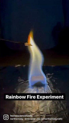 Science Buddies Rainbow Fire Chemistry Experiment from Home Science Tools
