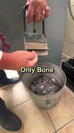 The Cremation Process | Explained ⚰️