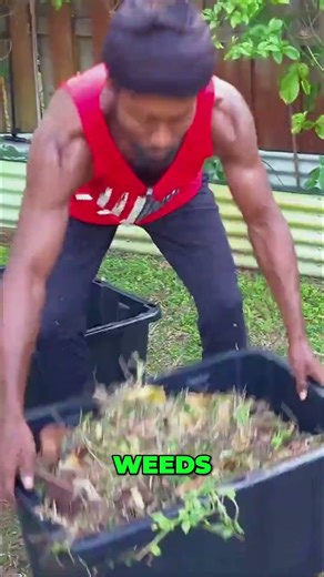 DIY Compost Turning Kitchen Scraps into Plant Food! #gardeningcommunity #growyourownfood