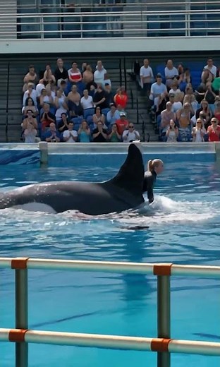 AI Orca Animation Sends a Powerful Ocean Message