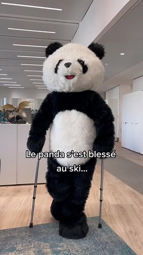 Une simple patte dans le plâtre ne l'arrêtera pas 😎 #justdance #justdancemoves