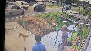 419K views · 3K reactions | PRESS▶️ "These two cars stopped at my house, saying that they are from GWI without any identification card or GWI logo on their cars. They said that they were checking the water pressure, and at the same time, my area was not getting water." - Scared resident | Guyana Express | Facebook