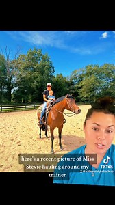 Stevie Progress Update🐴 | Katie Van Slyke