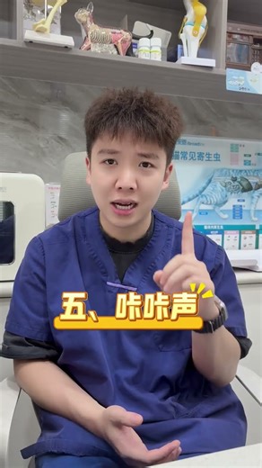 Can you understand these common meows of cats#The meaning of a cat s meow#A must-read for