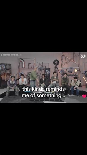 Hilarious Seagull Moments in ENHYPEN Edits