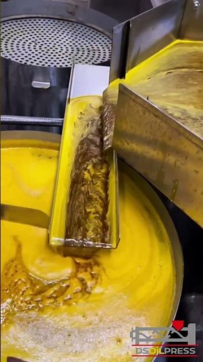 Hot Pressed Rapeseed Oil Test Video from Dingsheng Machine