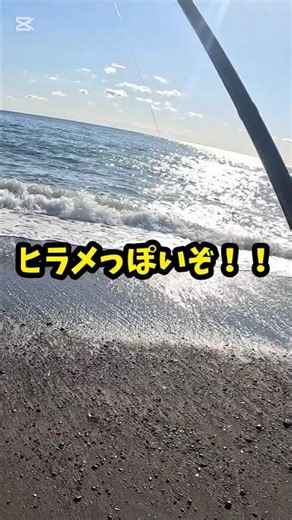ワームでヒラメを狙うと・・・
