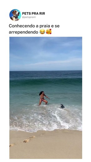 Conhecendo a praia e se arrependendo ❤️🐶