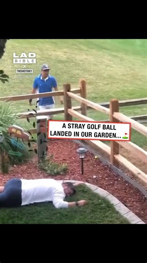 4.5M views · 46K reactions | A stray golf ball landed in our garden...⛳️ #fblifestyle | LADbible | Facebook