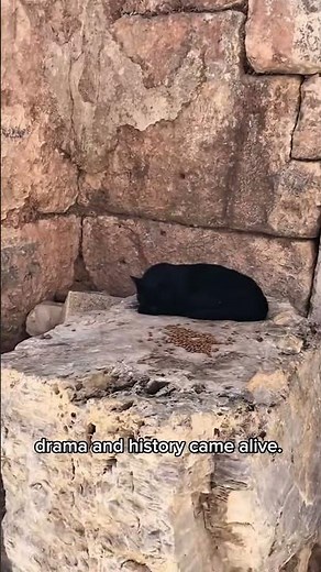 Ephesus Ancient City Great Theatre & Early Christian Heritage 🇹🇷| Turkey Tour Highlights #ephesus