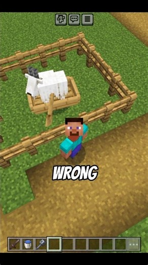 🔥 The WEIRDEST Thing in Minecraft… 😭