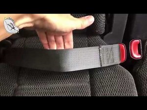 Example of ALR Seat Belt