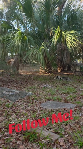 Visiting George Washington's Grave in South Carolina