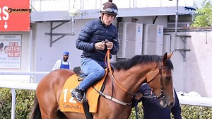 Gary Halpin & Sean Davis offer lot 31 on tomorrow’s Tattersalls Online Breeze Up Sale from their GS Bloodstock who have enjoyed a great year at the Breeze Up sales | Racing's Inside Track tv