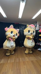 Let's dance with Chitan twins🤍Number_i：INZM⚡️⚡️⚡️ イナズマですっ☆ | Chiitan