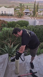 Boomslang is like a loaded spring and super fast! • Scientific name: Dispholidus typus • Venom: Haemotoxic • Location: Ashton in the Western Cape of South Africa I always use my longer catching tubes with Boomslang for good reason. They are super fast and agile. I thought it was a juvenile Boomslang and grabbed my shorter tube. It turned out to be a sub-adult Boomslang, and I even said I shouldn't use the shorter tube... and then exactly what I don't want to happen happened! I swapped to the lon