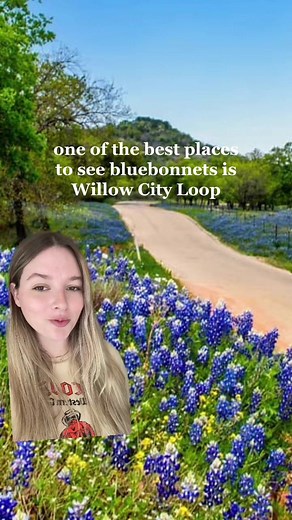 Best Place to See Bluebonnets in Texas | Willow City Loop